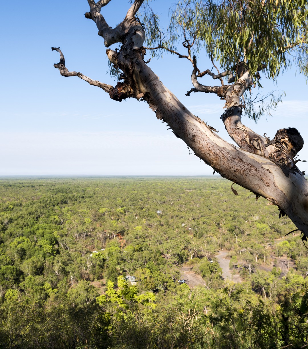 Cocoparra National Park